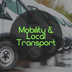 Mobility and Local Transport
